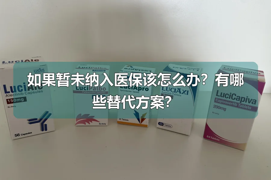 如果暂未纳入医保该怎么办?有哪些替代方案?